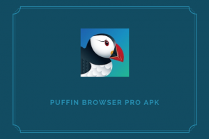 puffin pro
