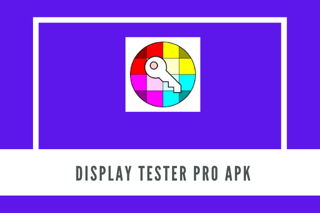 Display Tester Pro Apk (2021)